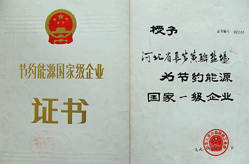 節(jié)約能源國(guó)家一級(jí)企業(yè)