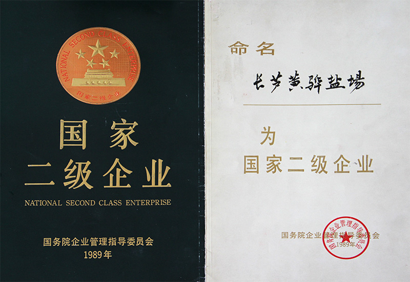 國(guó)家二級(jí)企業(yè)