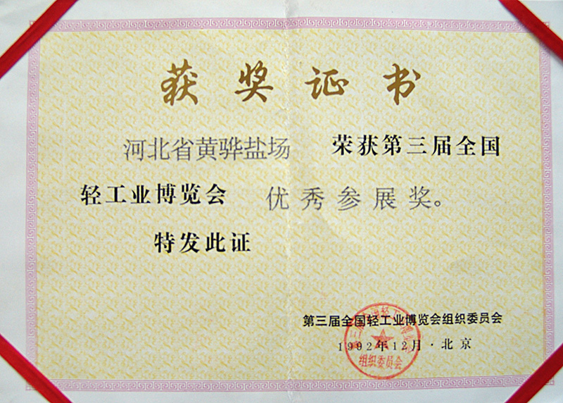 第三屆全國(guó)輕工業(yè)博覽會(huì)優(yōu)秀參展獎(jiǎng)